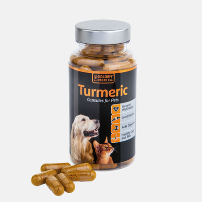 Golden Paste Co. Turmeric Capsules for Pets 90pk