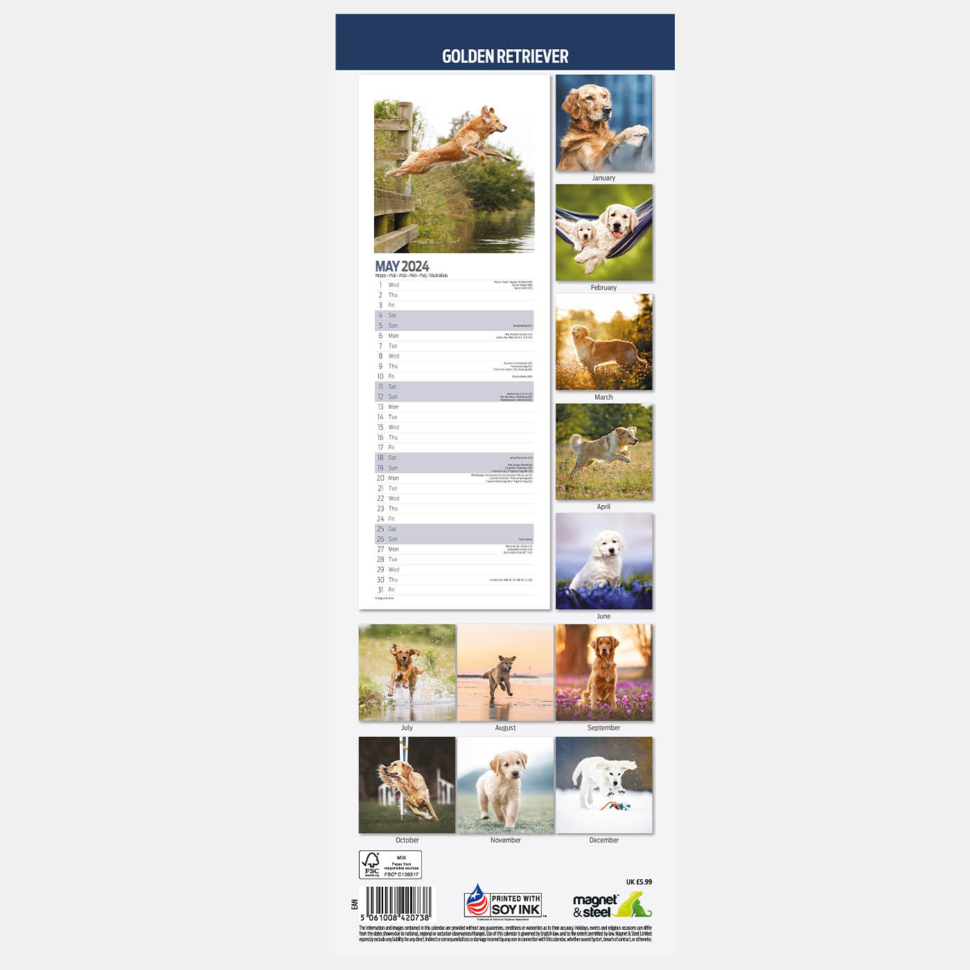 Golden Retriever 2024 Slim Calendar Gifting Lords Labradors   GoldenRetriever2024SlimCalendar 