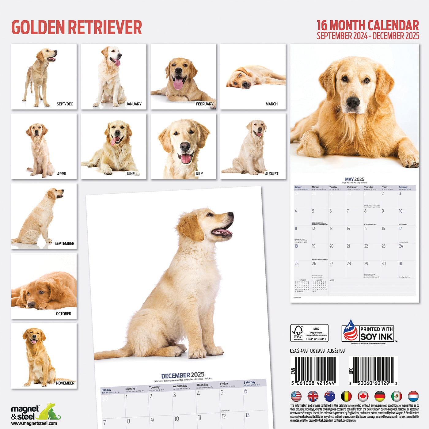 Golden Retriever Modern Calendar 2025