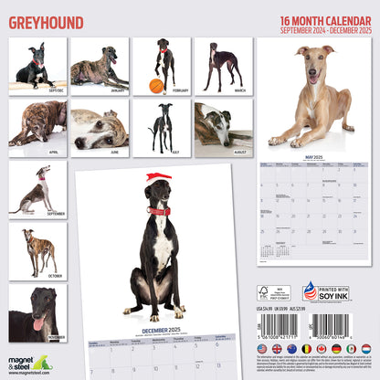 Greyhound Modern Calendar 2025