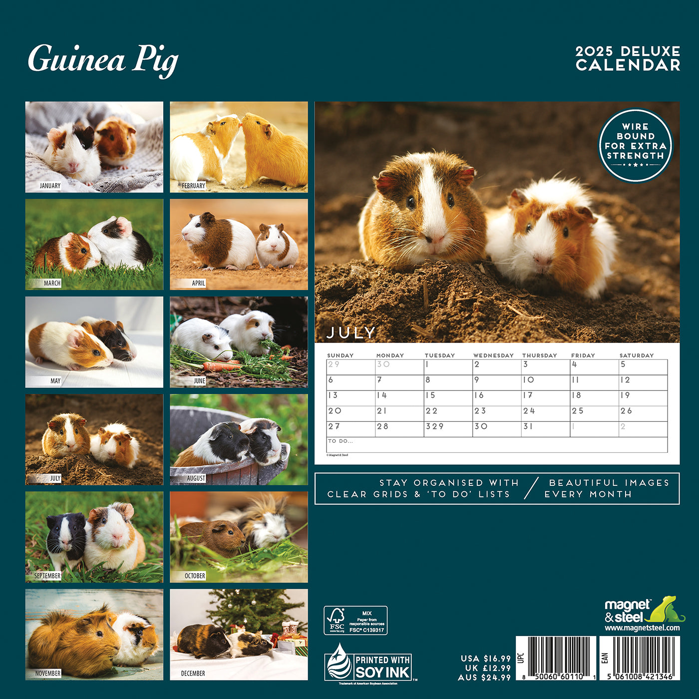 Guinea Pig Deluxe Calendar 2025