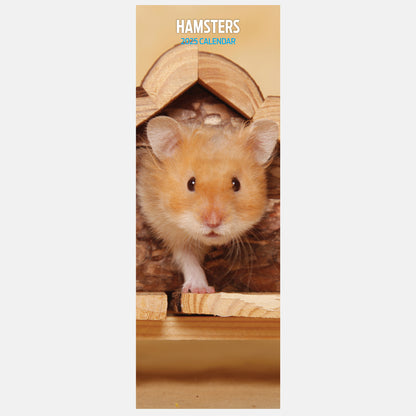 Hamsters Slim Calendar 2025