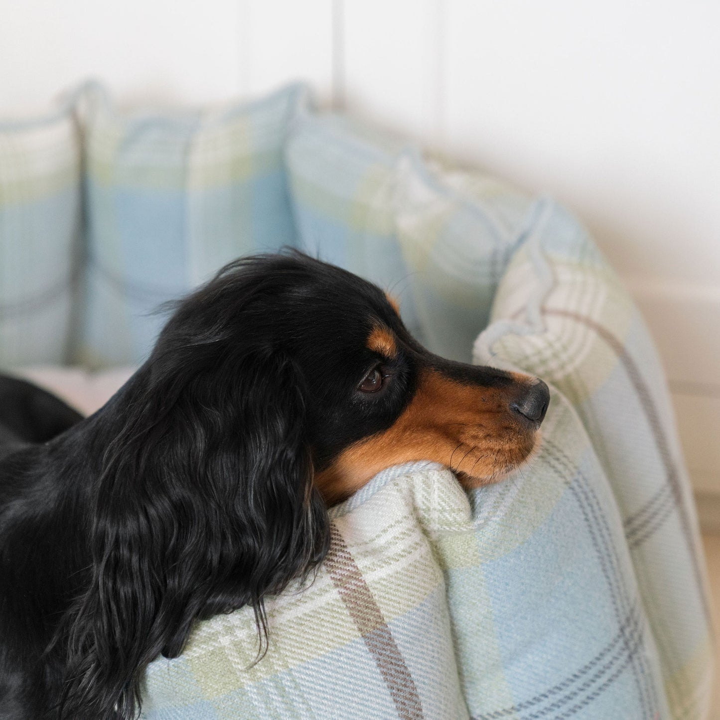 High Wall Bed With Removable Covers in Balmoral Duck Egg Tweed by Lords & Labradors