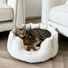 High Wall Bed For Cats in Bouclé by Lords & Labradors