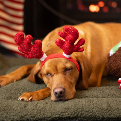 House of Paws Red Sparkle Antlers Headband