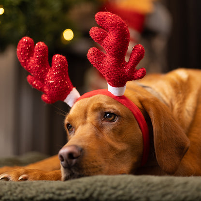 House of Paws Red Sparkle Antlers Headband