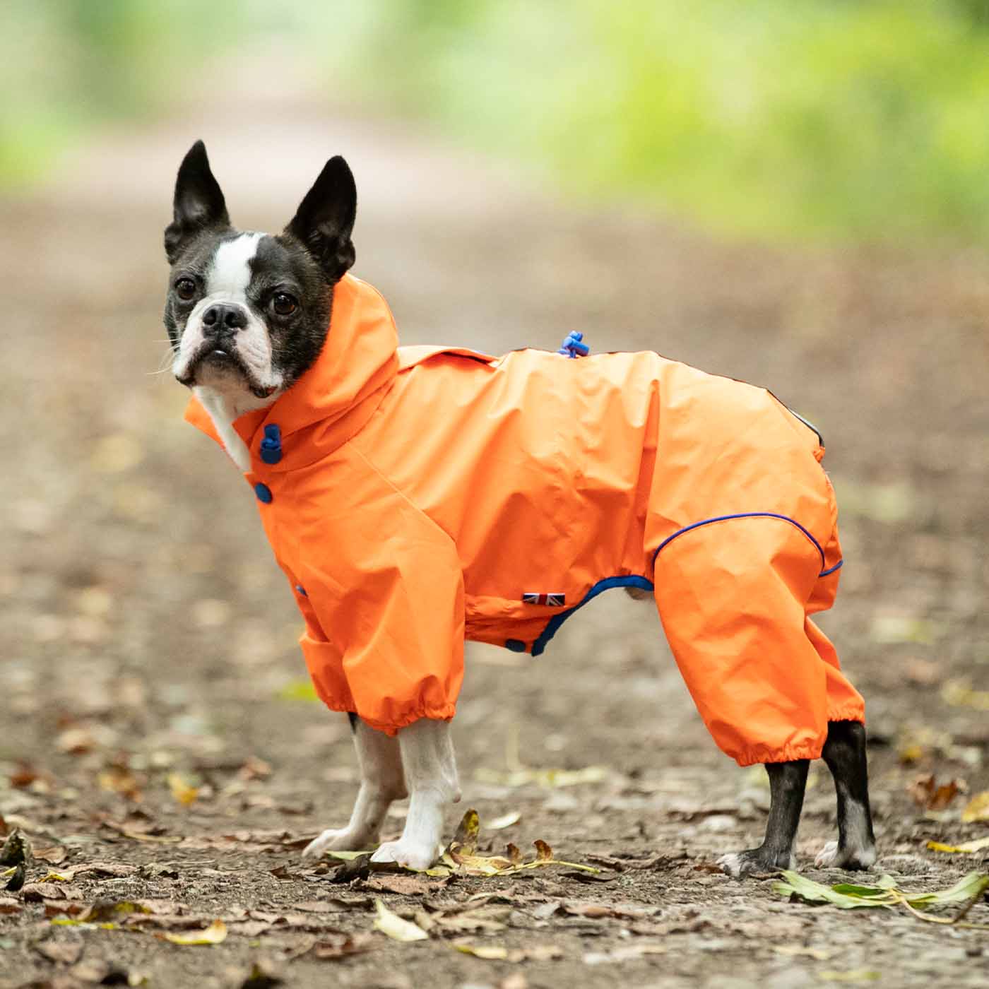 Luxury dog 2024 coats uk