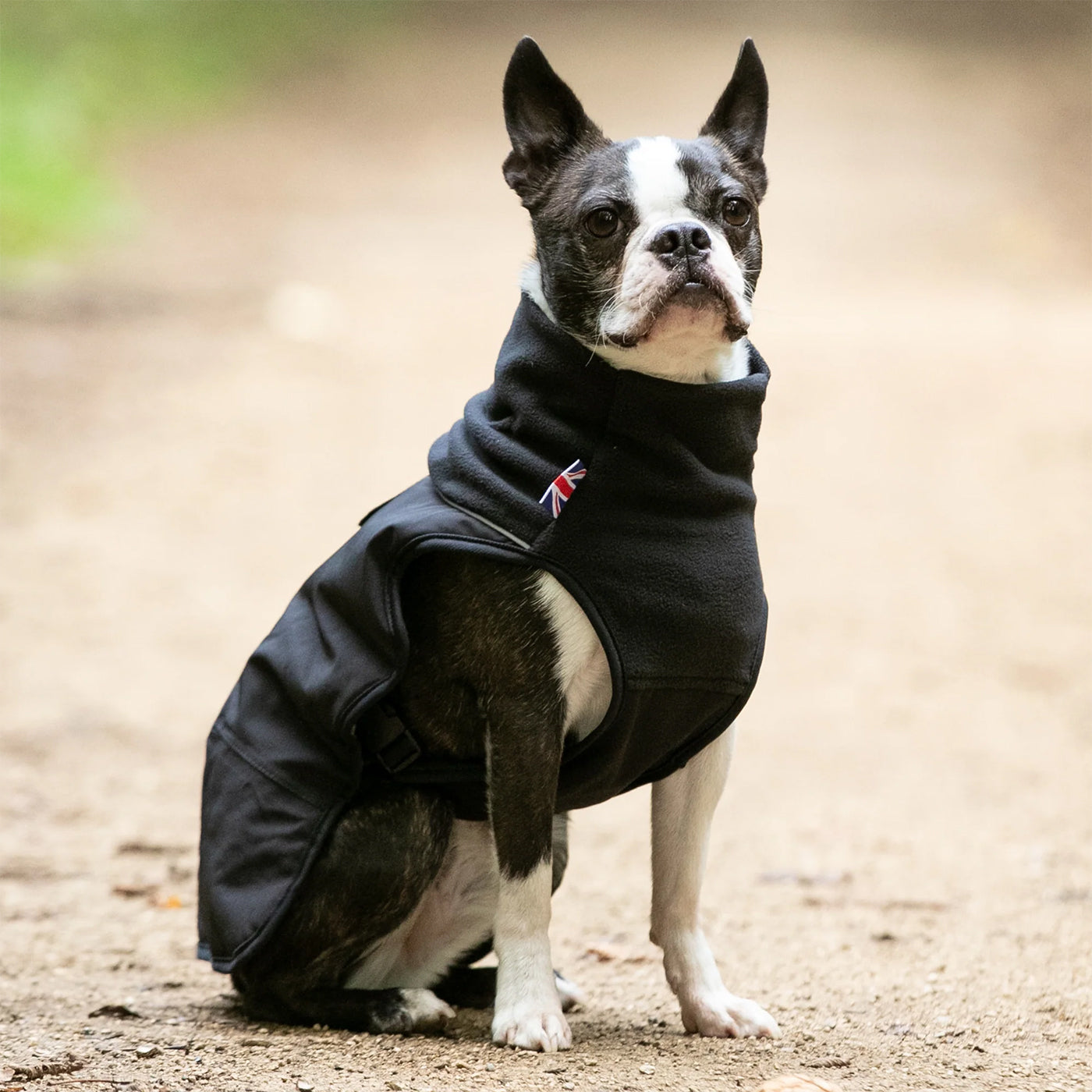 Lightweight Dog Coats