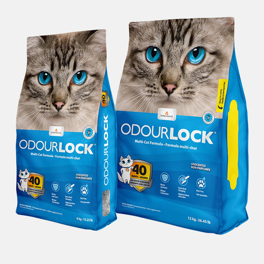 Intersand Odourlock Cat Litter