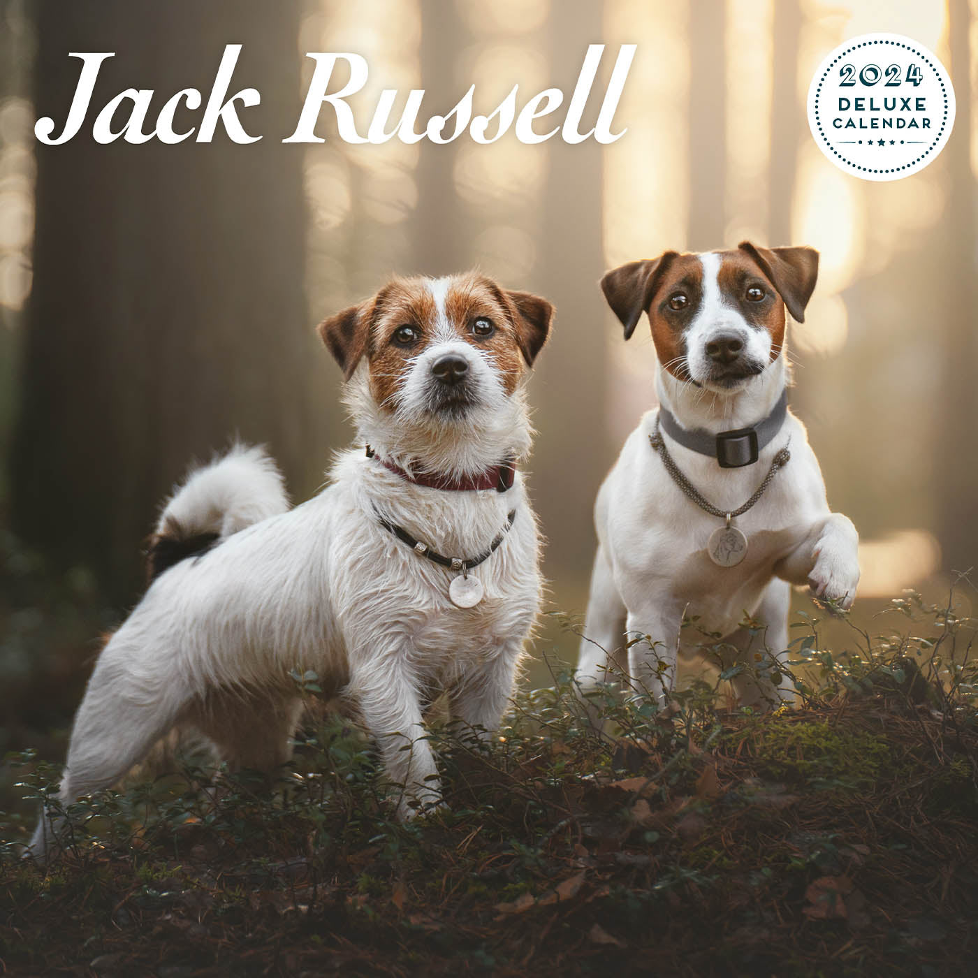 Jack Russell 2024 Deluxe Calendar Gifting Lords & Labradors