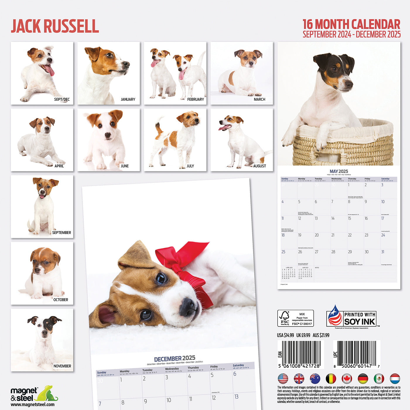 Jack Russell Modern Calendar 2025