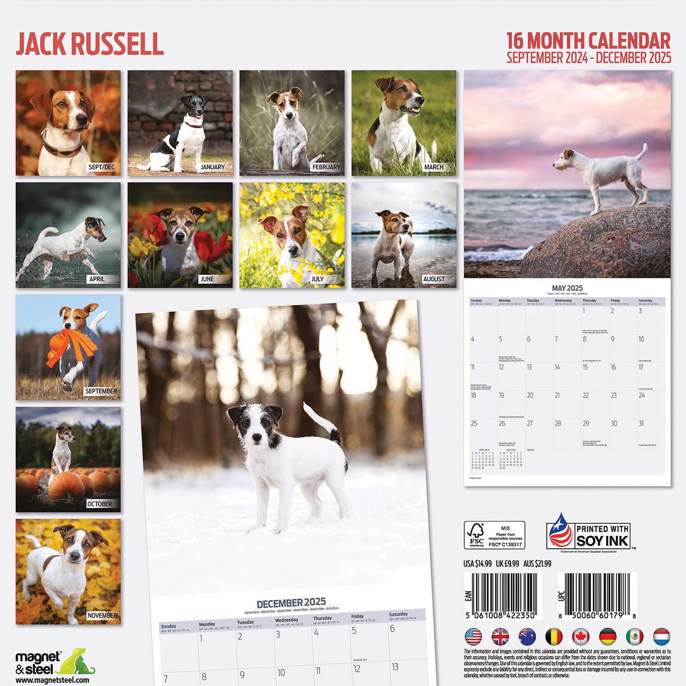 Jack Russell Traditional Calendar 2025