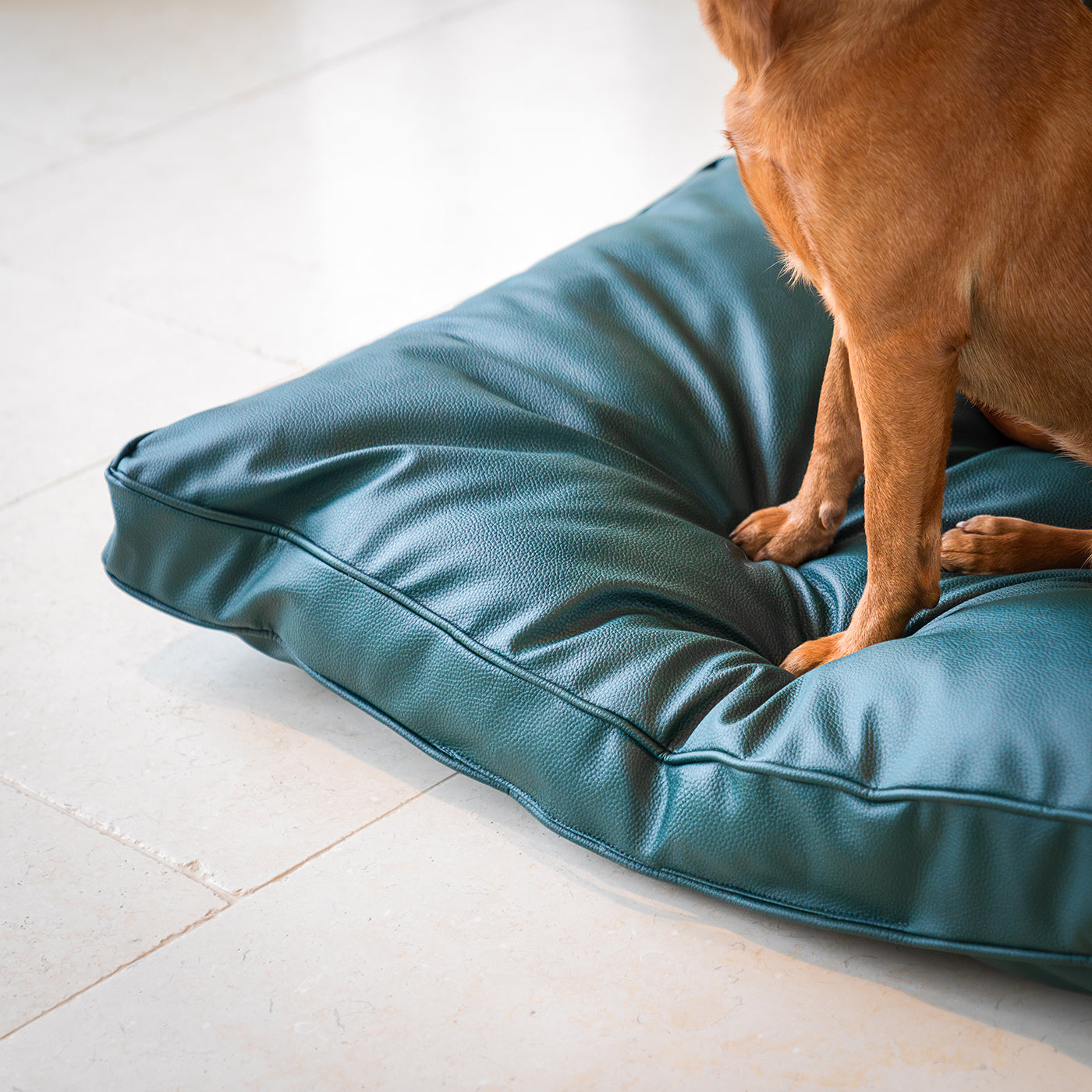 Dog Cushion in Rhino Tough Forest Faux Leather by Lords & Labradors