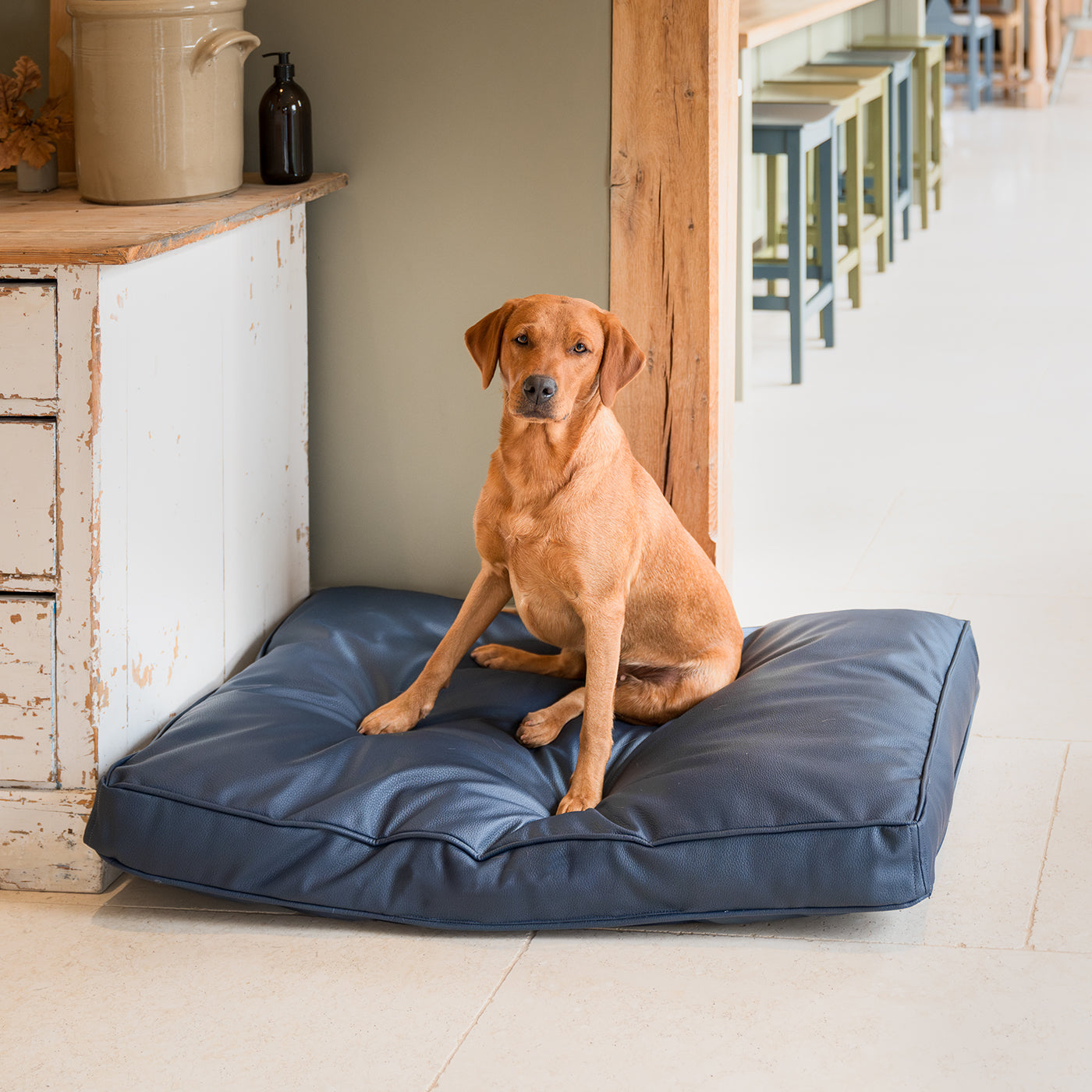 Personalised Dog Cushion in Rhino Tough Pacific Faux Leather by Lords & Labradors