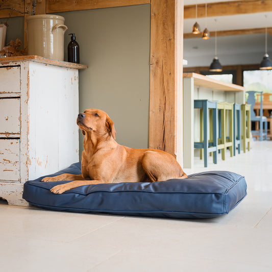 Dog Cushion in Rhino Tough Pacific Faux Leather by Lords & Labradors