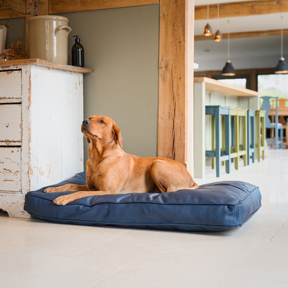 Personalised Dog Cushion in Rhino Tough Pacific Faux Leather by Lords & Labradors