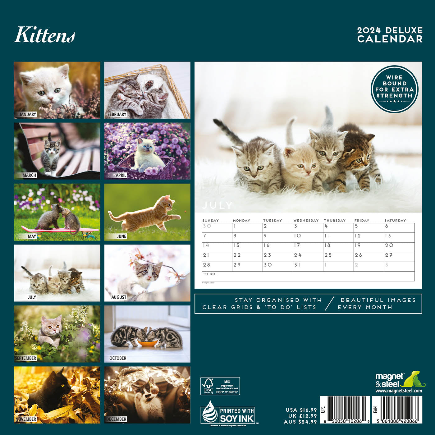Kitten 2024 Deluxe Calendar | Gifting | Lords & Labradors