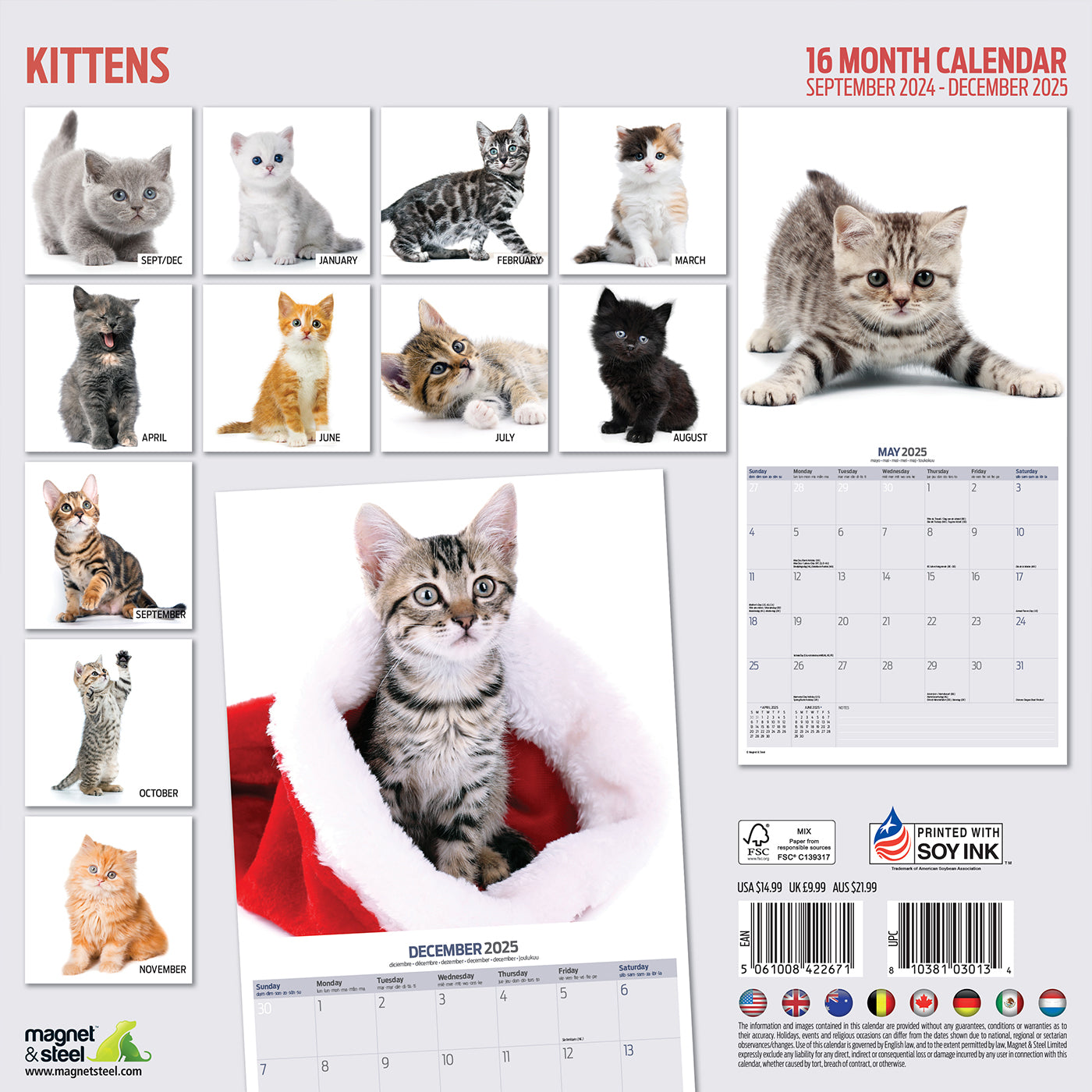 Kittens Modern Calendar 2025