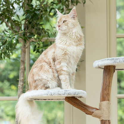 Back to Nature The High Rise Cat Scratch Post