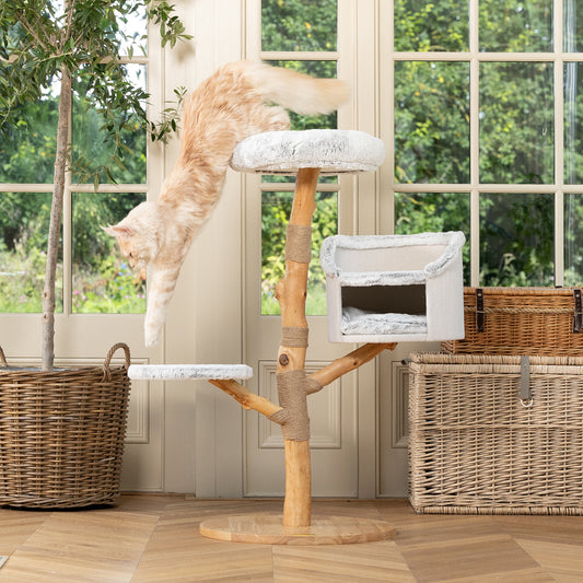 Back to Nature The Luxe Cat Scratch Post