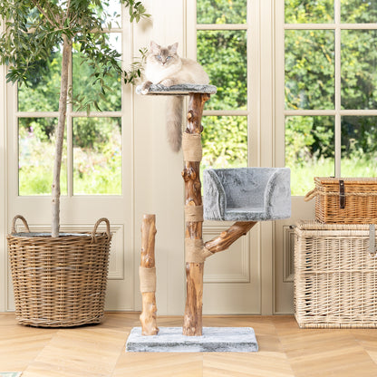 Back to Nature The Trio Cat Scratch Post