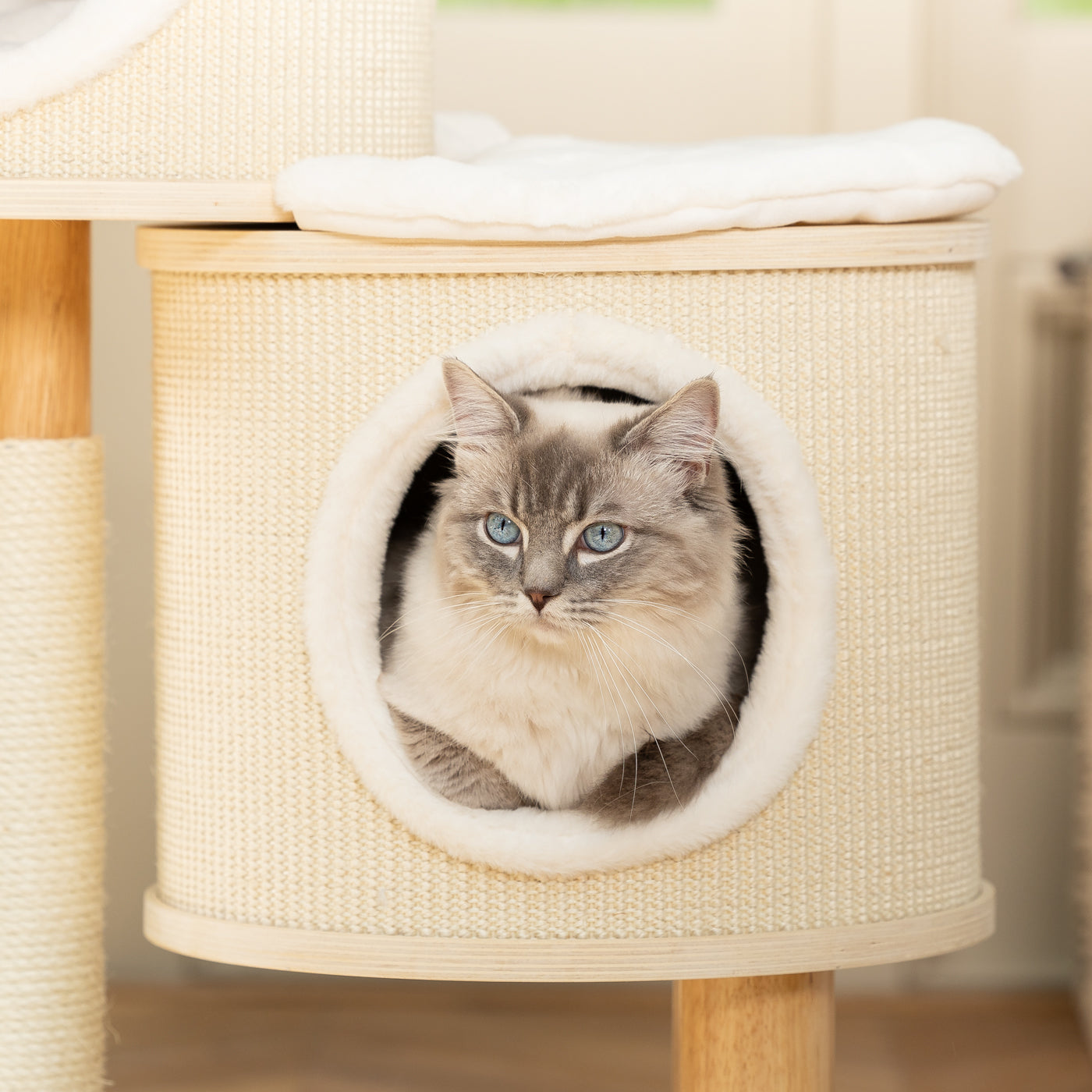 Helsinki Hide & Sleep Cat Tree