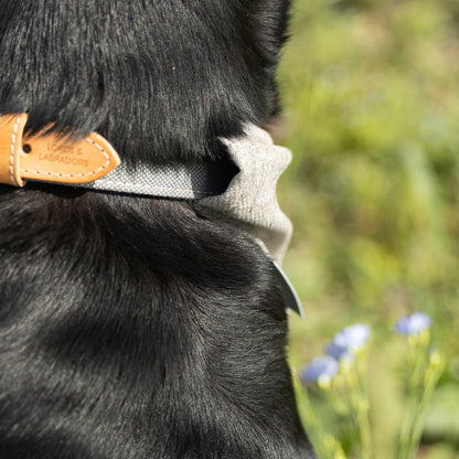 Bandana In Inchmurrin Ground By Lords & Labradors