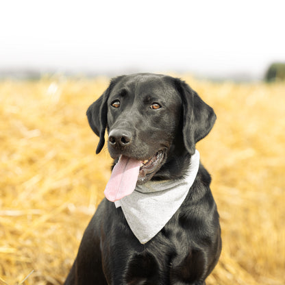 Bandana In Inchmurrin Iceberg By Lords & Labradors