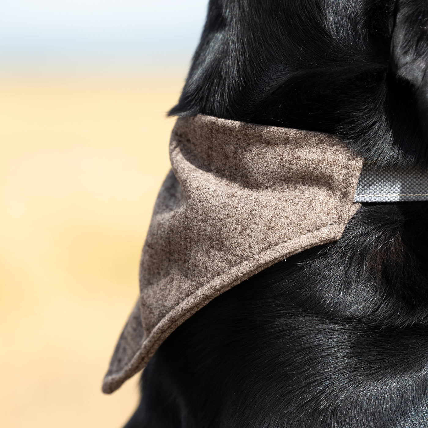 Bandana In Inchmurrin Umber By Lords & Labradors