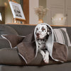 Dog & Puppy Blanket in Inchmurrin Umber by Lords & Labradors