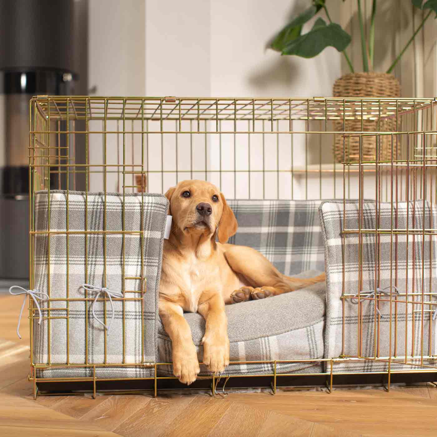 Discover Our Heavy-Duty Dog Crate With Dove Grey Tweed Cushion & Bumper Set! The Perfect Crate Accessories. Available To Personalise Here at Lords & Labradors 