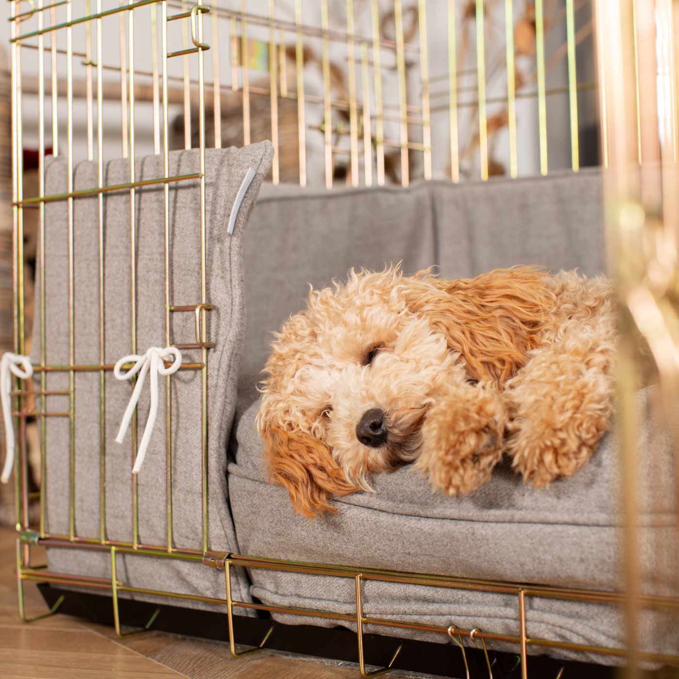 Dog Crate with Cushion & Bumper in Inchmurrin Ground by Lords & Labradors