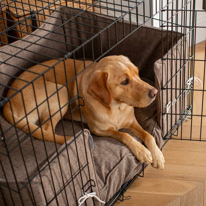 Dog Crate with Cushion & Bumper in Inchmurrin Umber by Lords & Labradors