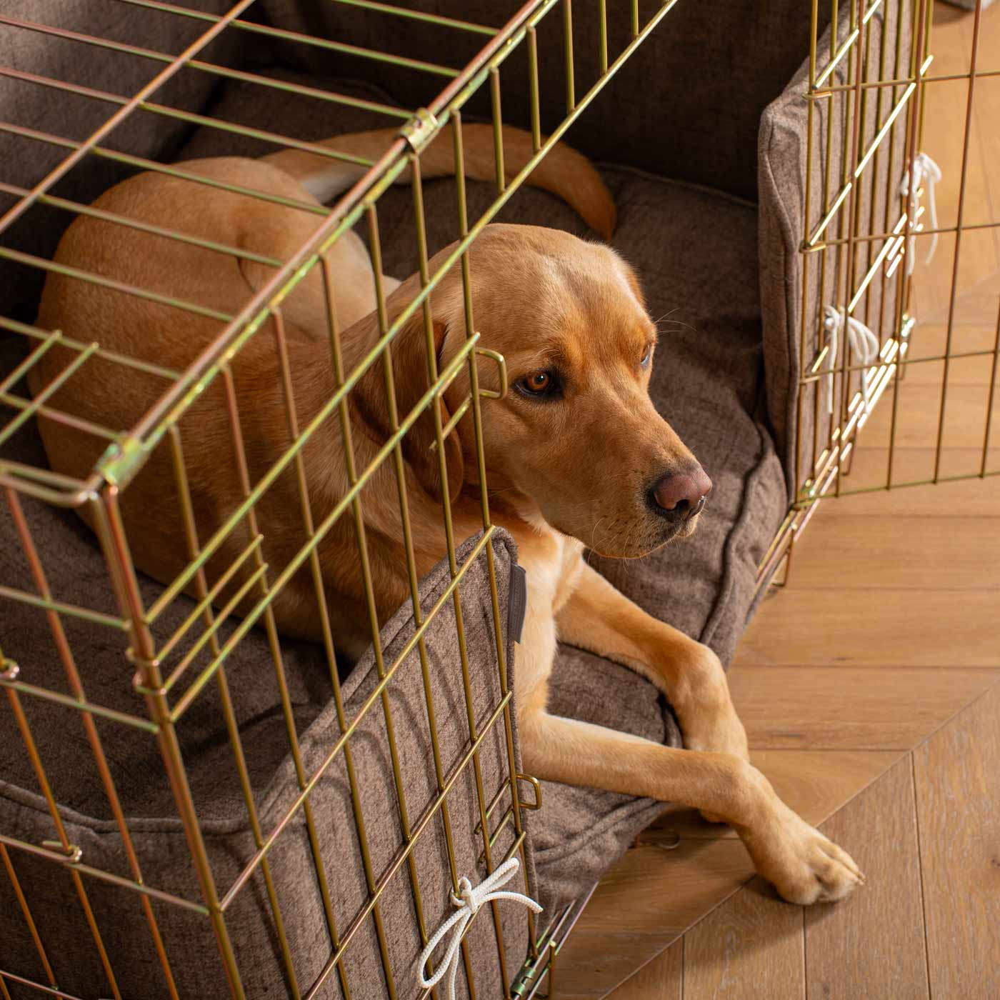 Dog Crate with Cushion & Bumper in Inchmurrin Umber by Lords & Labradors