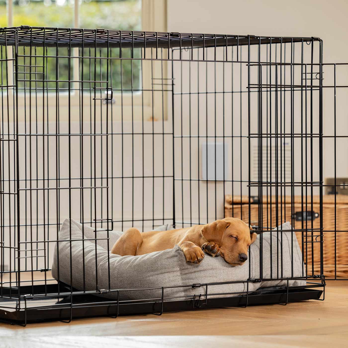 Dog Crate with Cosy & Calming Puppy Crate Bed in Inchmurrin Ground ...