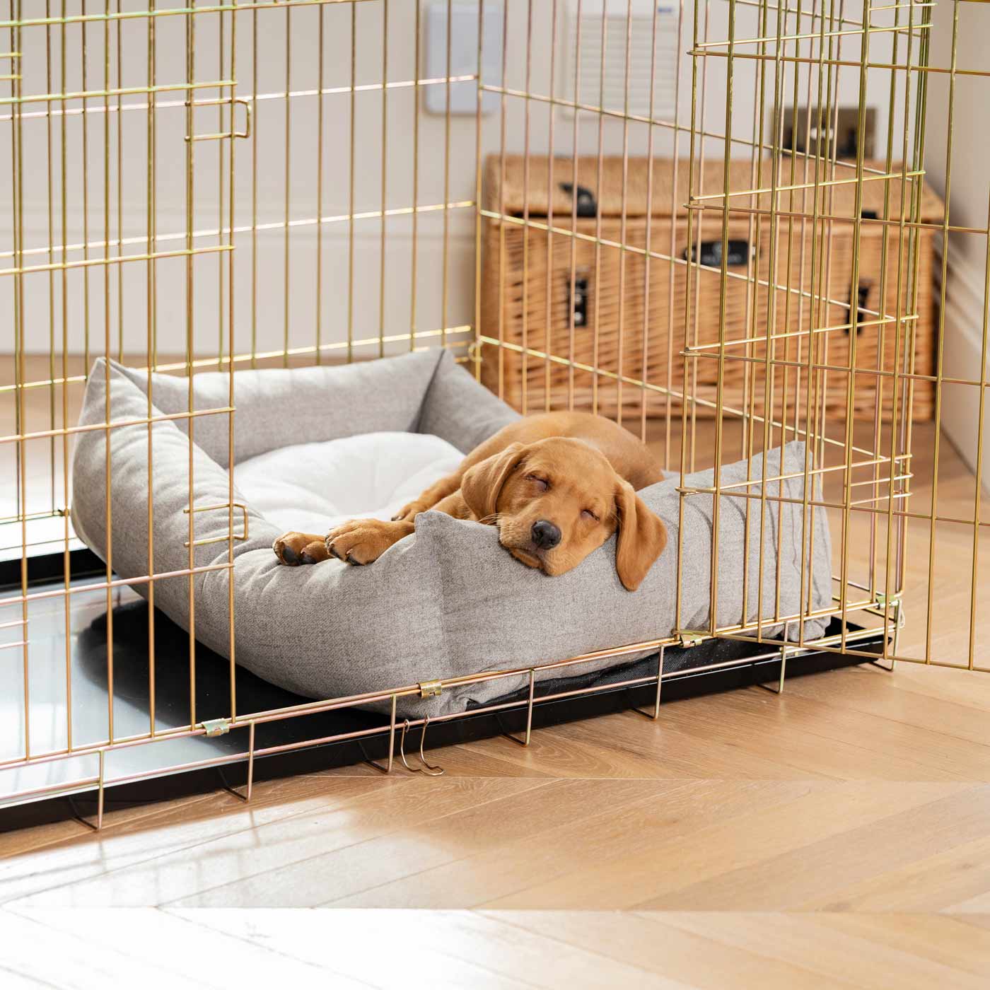 Dog Crate with Cosy & Calming Puppy Crate Bed in Inchmurrin Ground by Lords & Labradors