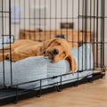 Inchmurrin Cosy & Calm Puppy Box Bed, The Perfect Dog Crate Bed For Pets! To Build The Ultimate Dog Den! In Light Grey Inchmurrin Iceberg! Available To Personalise Now at Lords & Labradors 