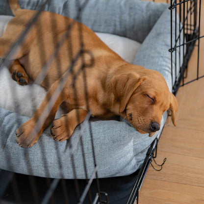 Inchmurrin Cosy & Calm Puppy Box Bed, The Perfect Dog Crate Bed For Pets! To Build The Ultimate Dog Den! In Light Grey Inchmurrin Iceberg! Available To Personalise Now at Lords & Labradors 