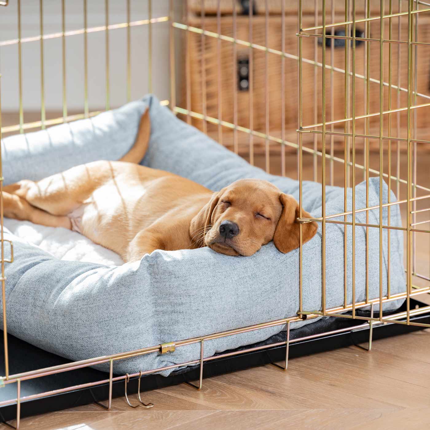 Dog Crate with Cosy & Calming Puppy Crate Bed in Inchmurrin Iceberg by Lords & Labradors