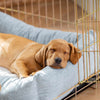 Cosy & Calming Puppy Crate Bed With Removable Covers In Inchmurrin Iceberg by Lords & Labradors