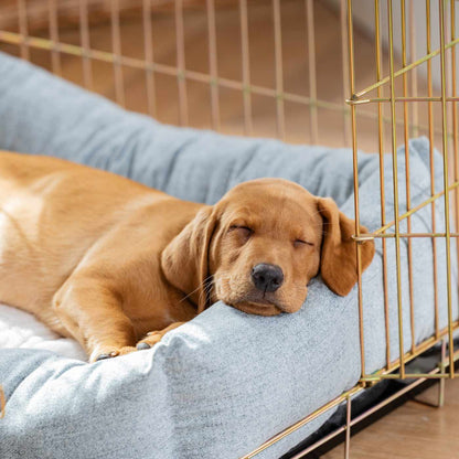 Inchmurrin Cosy & Calm Puppy Box Bed, The Perfect Dog Crate Bed For Pets! To Build The Ultimate Dog Den! In Light Grey Inchmurrin Iceberg! Available To Personalise Now at Lords & Labradors 