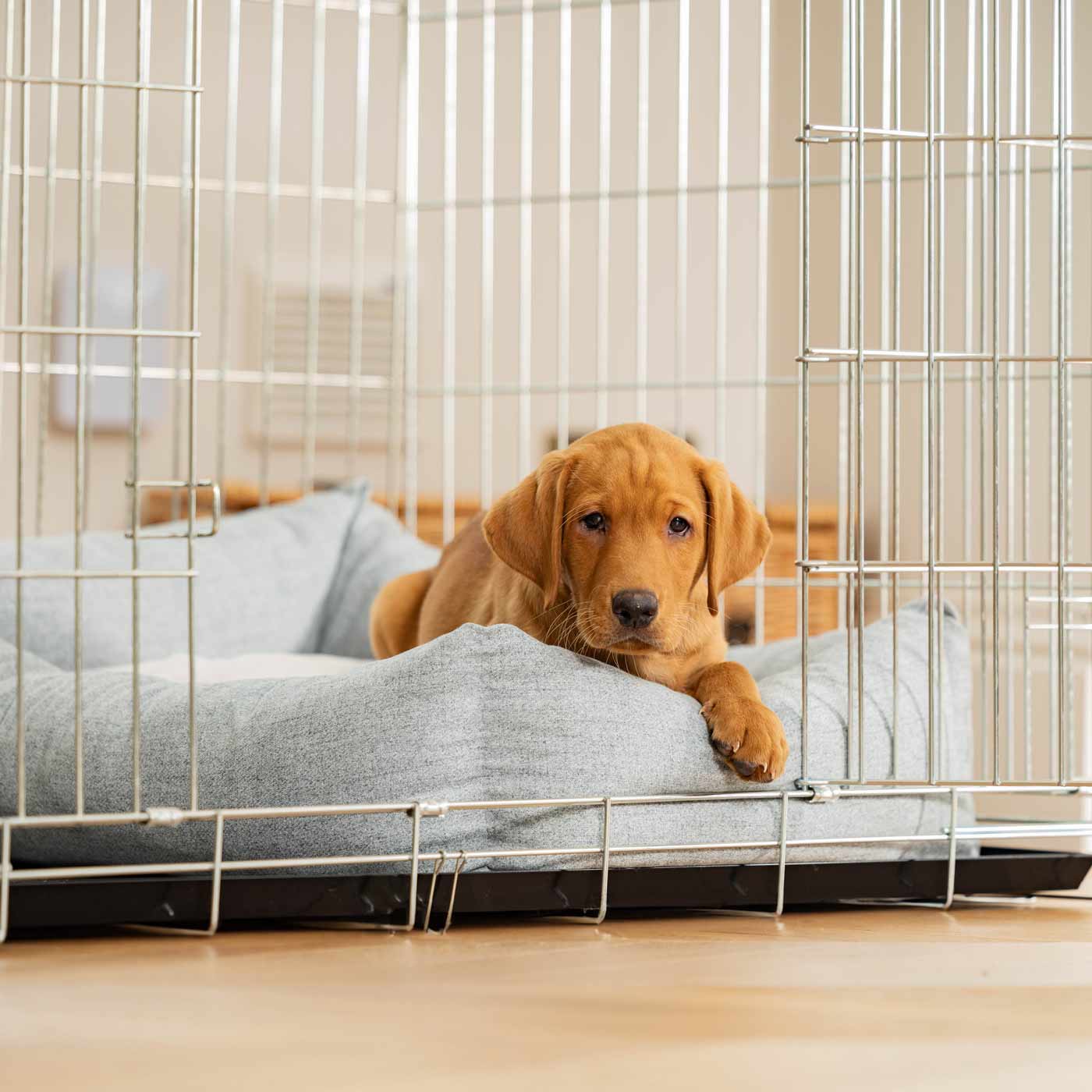 Inchmurrin Cosy & Calm Puppy Box Bed, The Perfect Dog Crate Bed For Pets! To Build The Ultimate Dog Den! In Light Grey Inchmurrin Iceberg! Available To Personalise Now at Lords & Labradors 