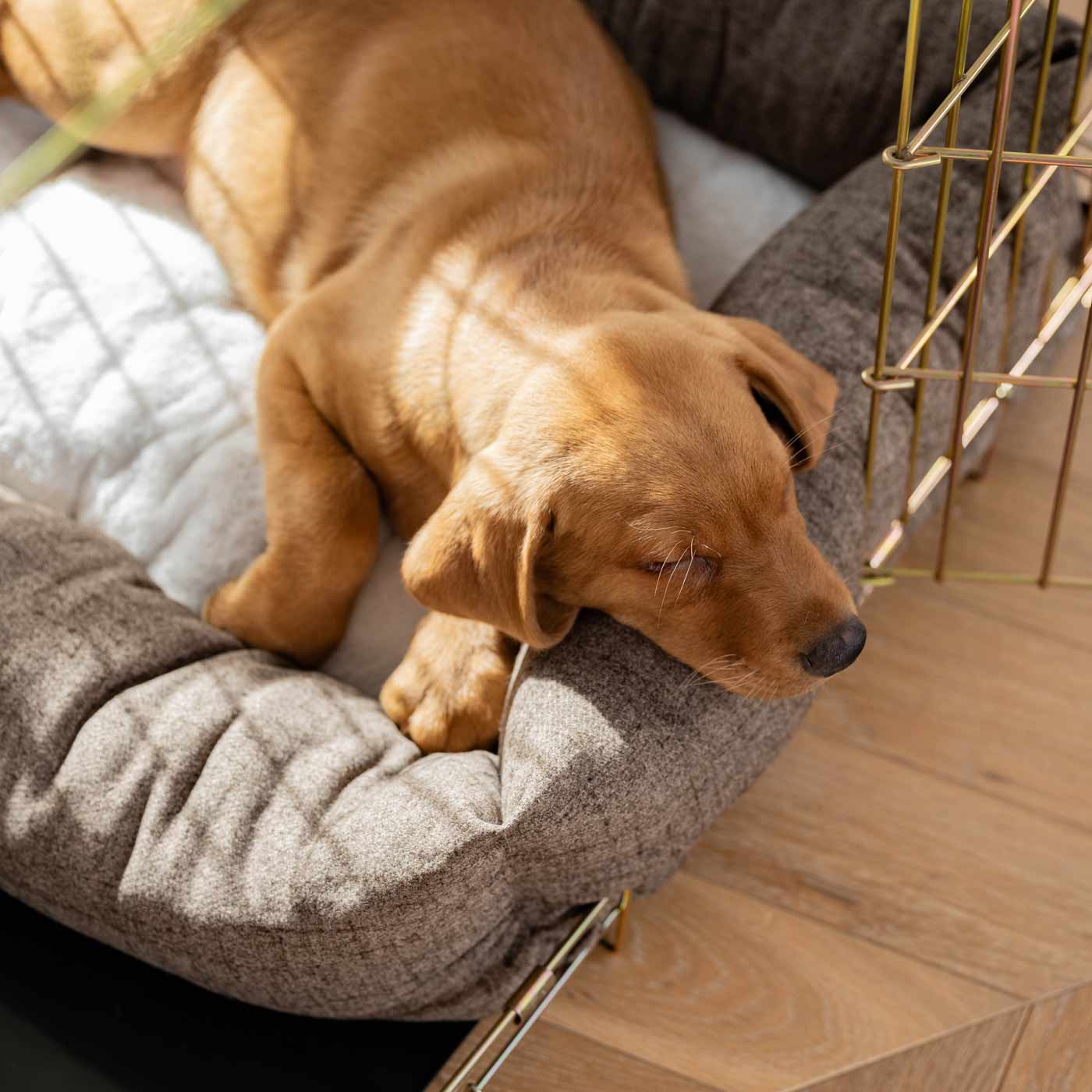 Dog Crate with Cosy & Calming Puppy Crate Bed in Inchmurrin Umber by Lords & Labradors