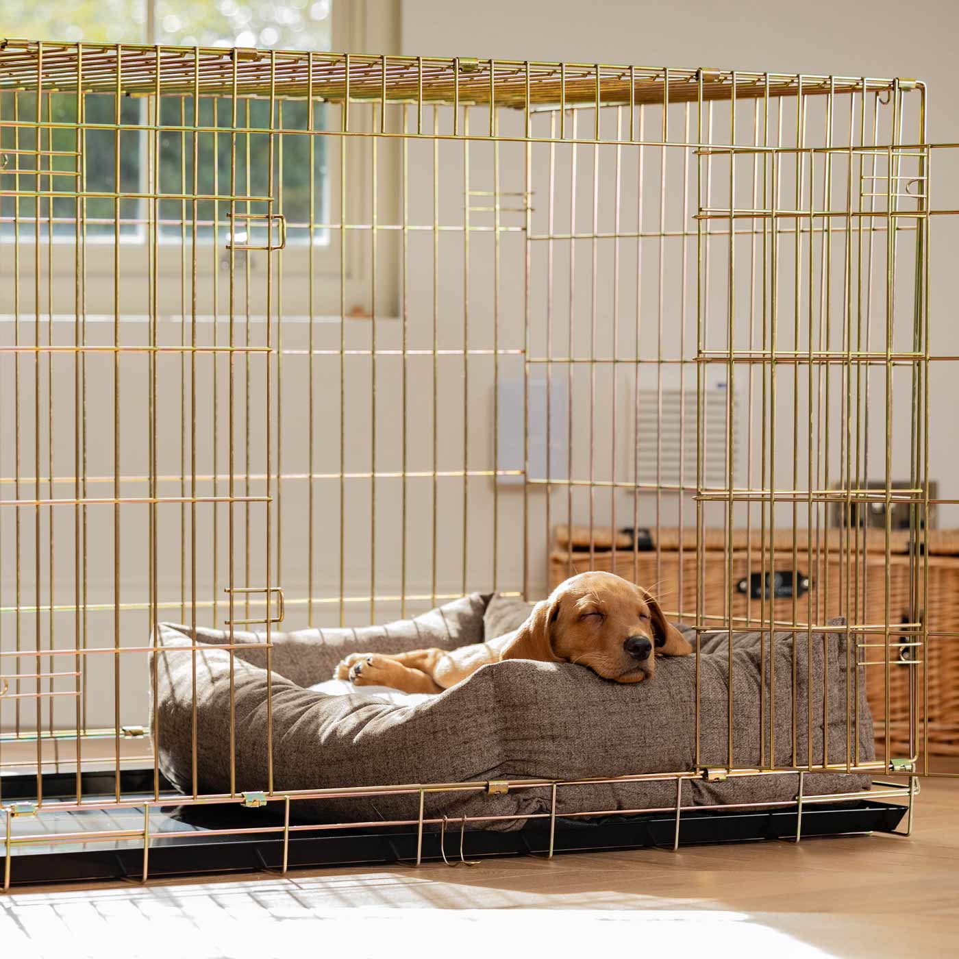 Dog Crate with Cosy & Calming Puppy Crate Bed in Inchmurrin Umber by Lords & Labradors