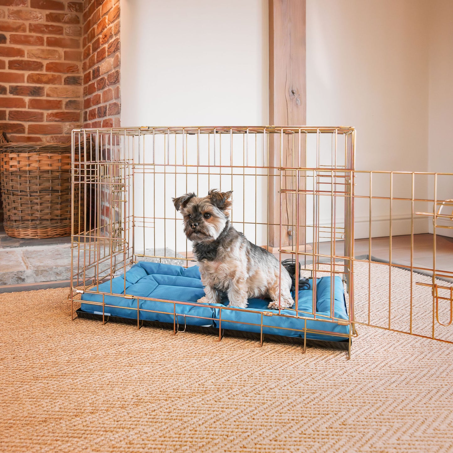 Luxury Dog Crate Maze Mat, in Ocean. Padded For Extra Comfort And Compatibile With Lords & Labradors Metal Dog Crates, Available Now!