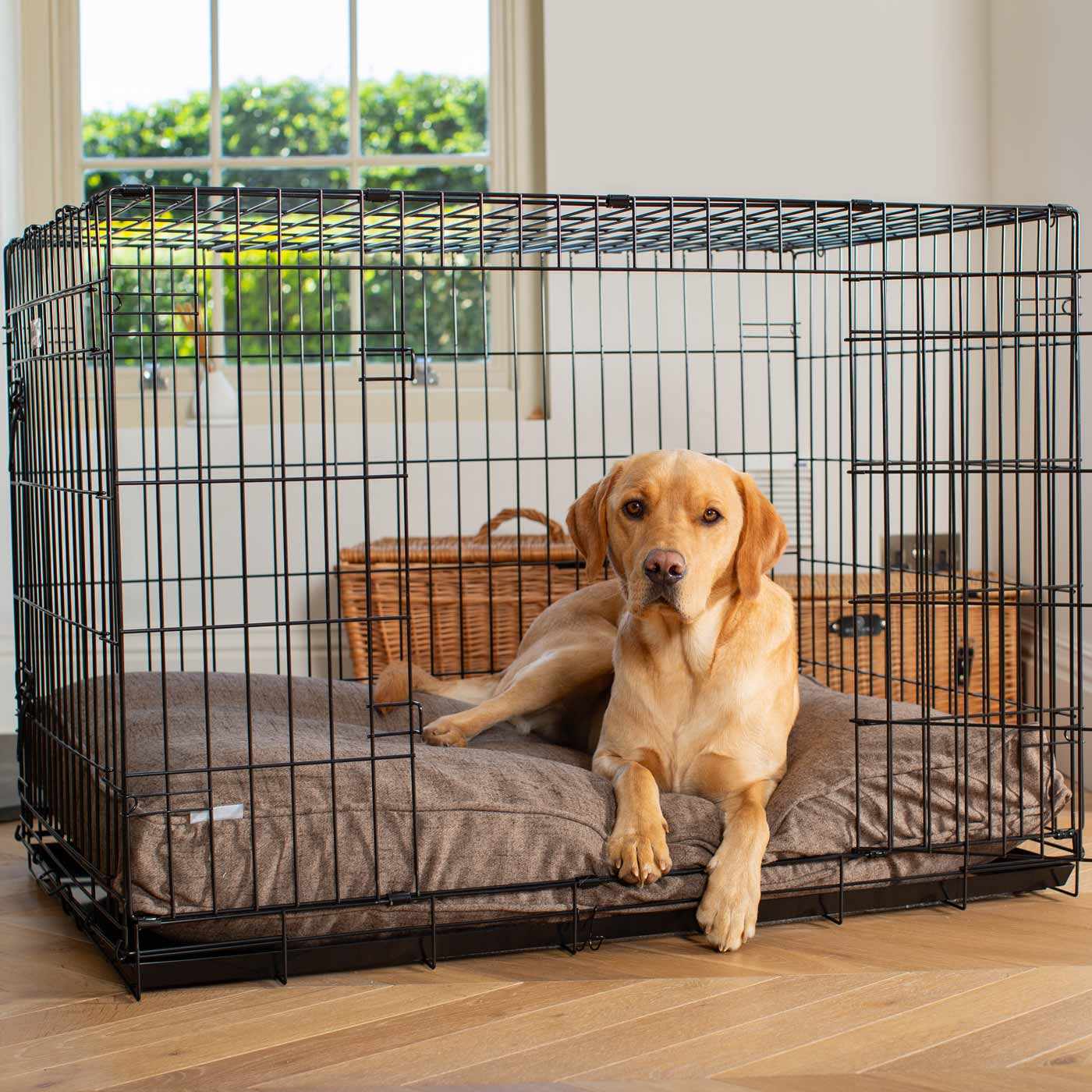 Dog Cushion in Inchmurrin Umber by Lords & Labradors