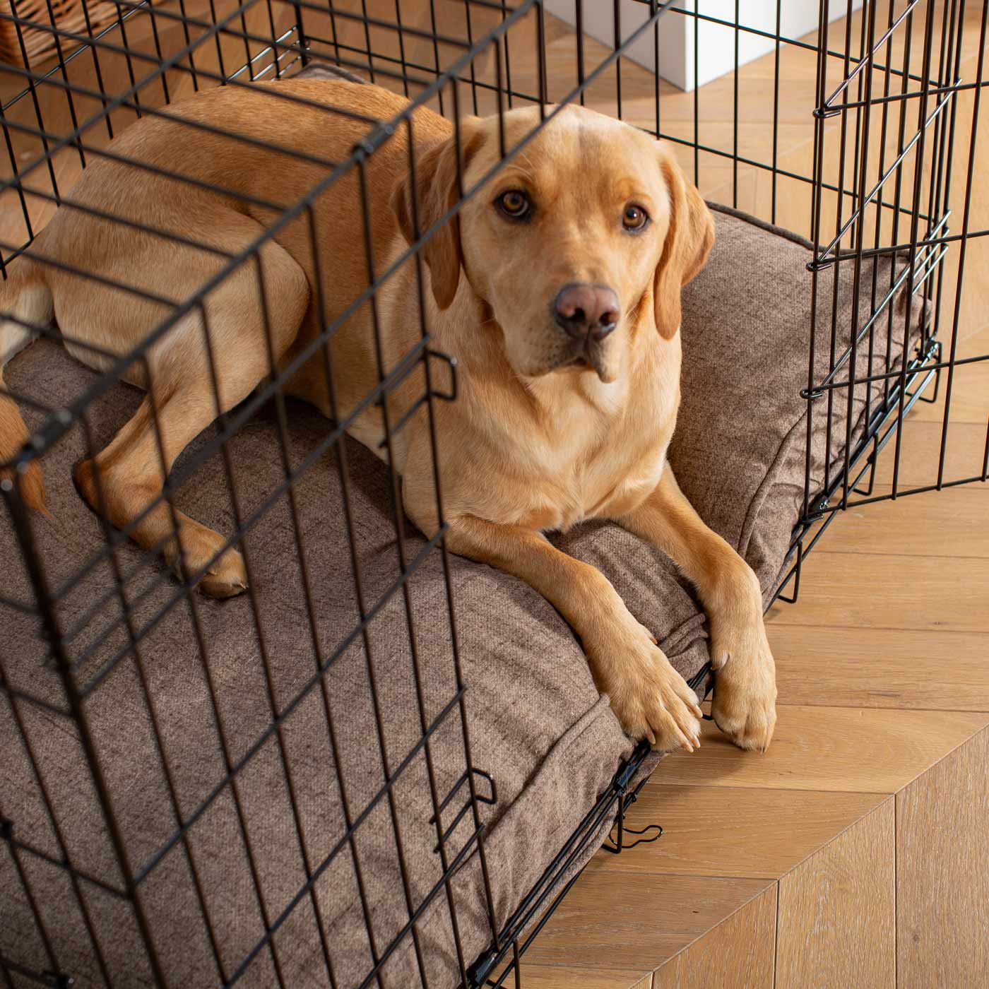 Dog Cushion in Inchmurrin Umber by Lords & Labradors