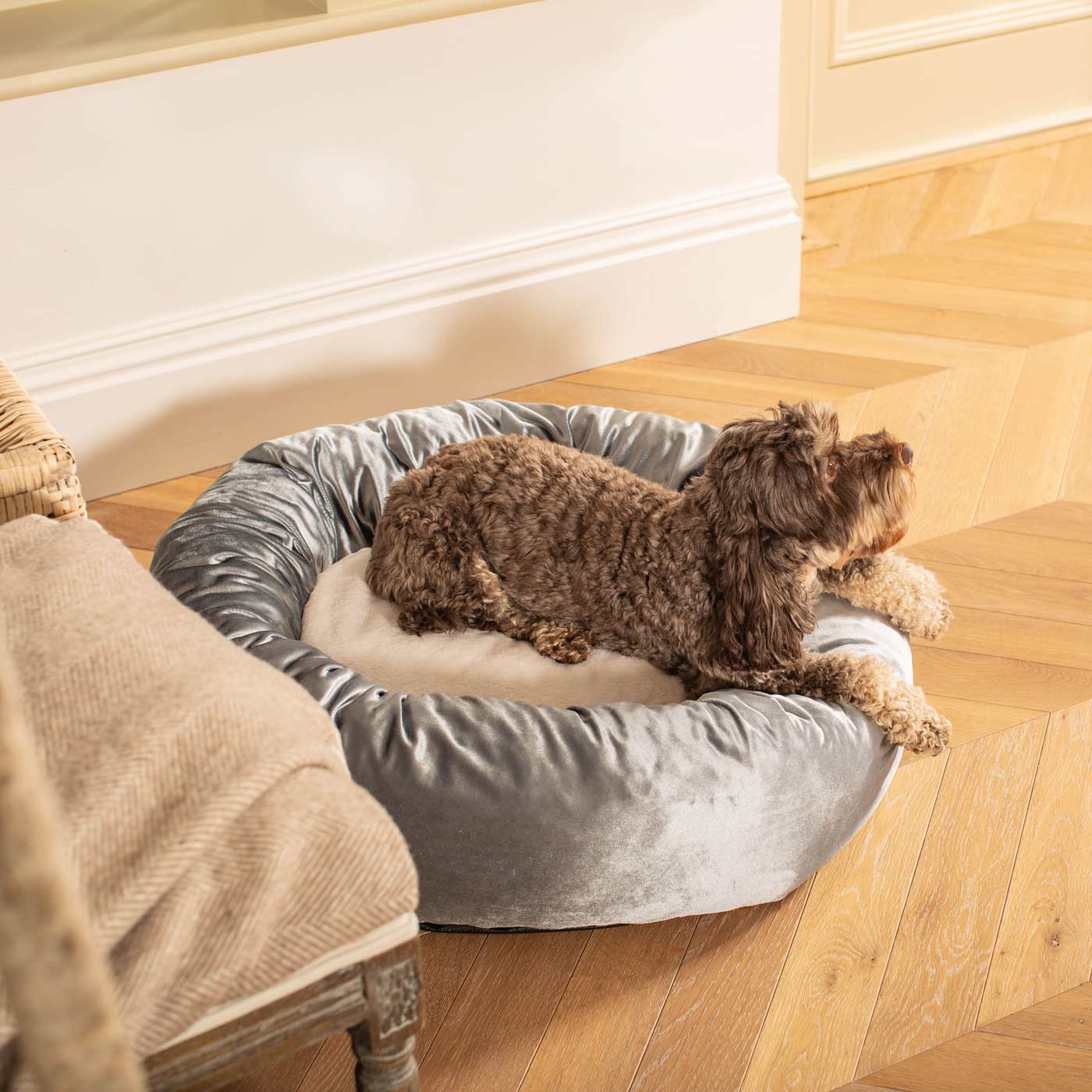 Donut Bed in Elephant Velvet by Lords & Labradors