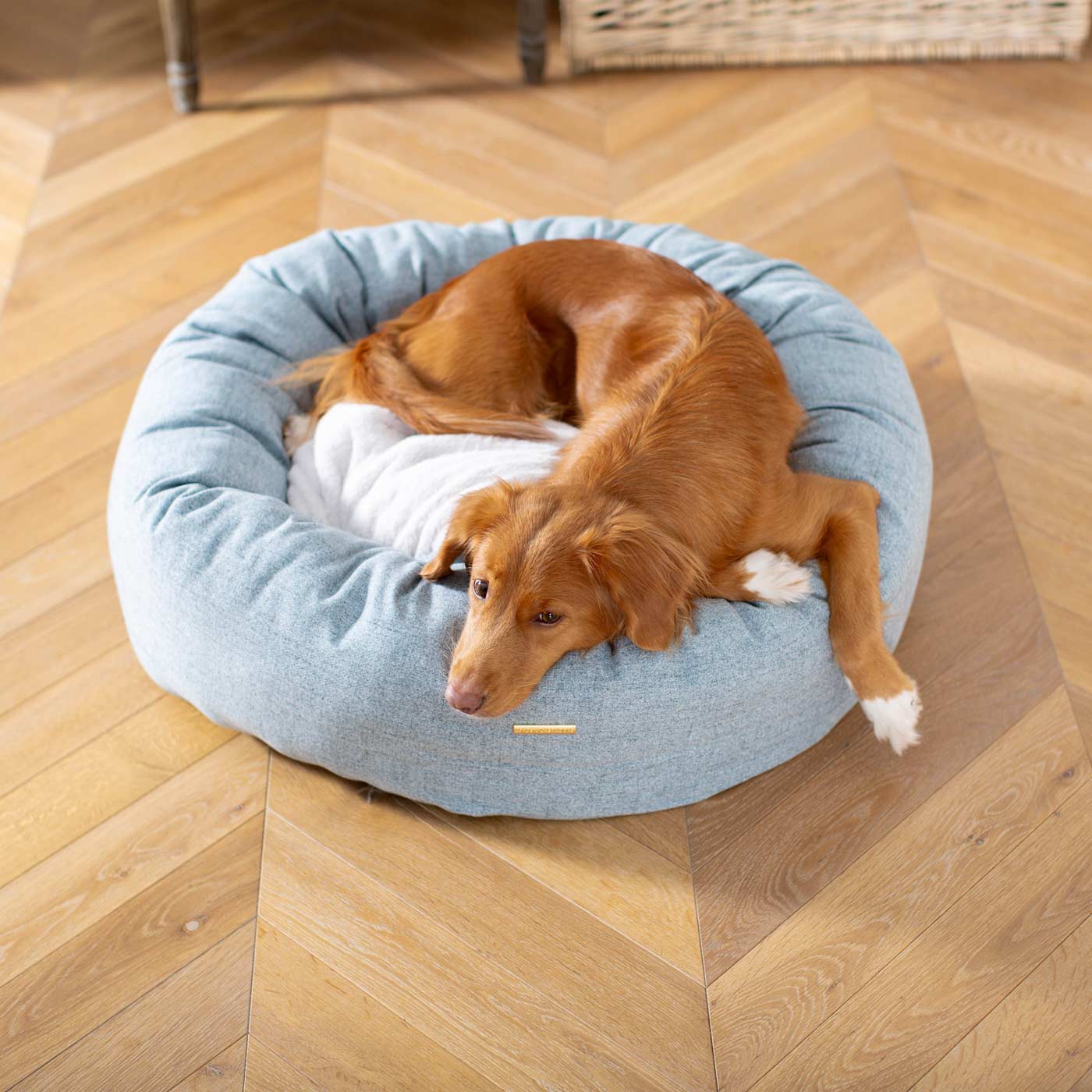 Donut Bed in Inchmurrin Iceberg By Lords & Labradors