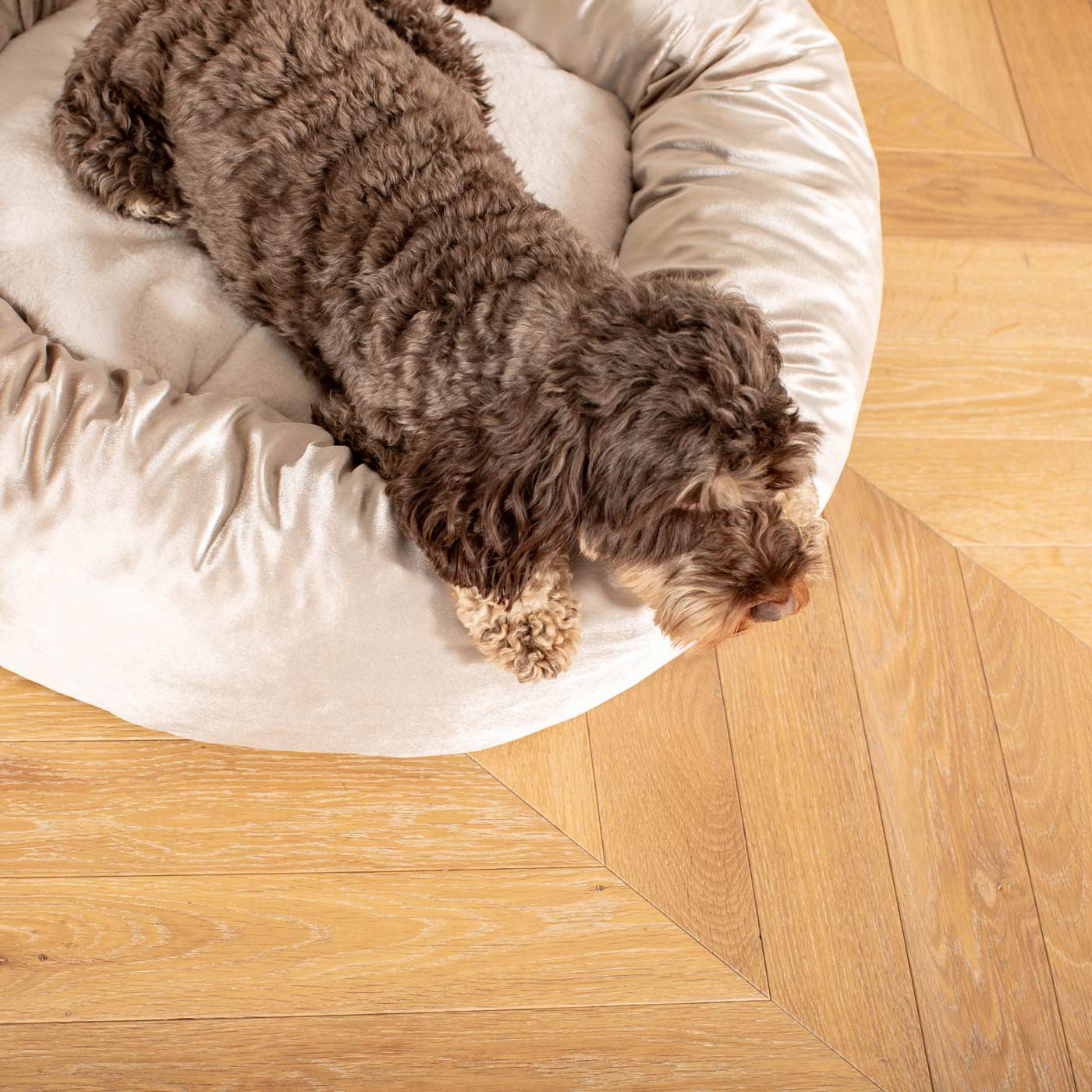 Donut Bed in Mushroom Velvet by Lords & Labradors